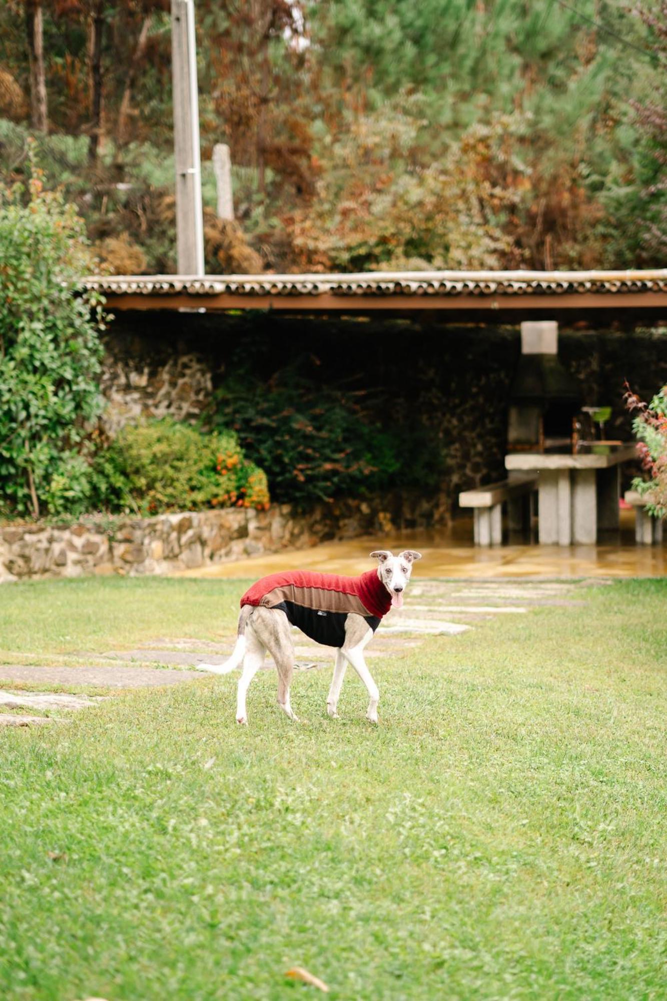 Villa Casa Da Assudra Vila Verde  Exterior foto